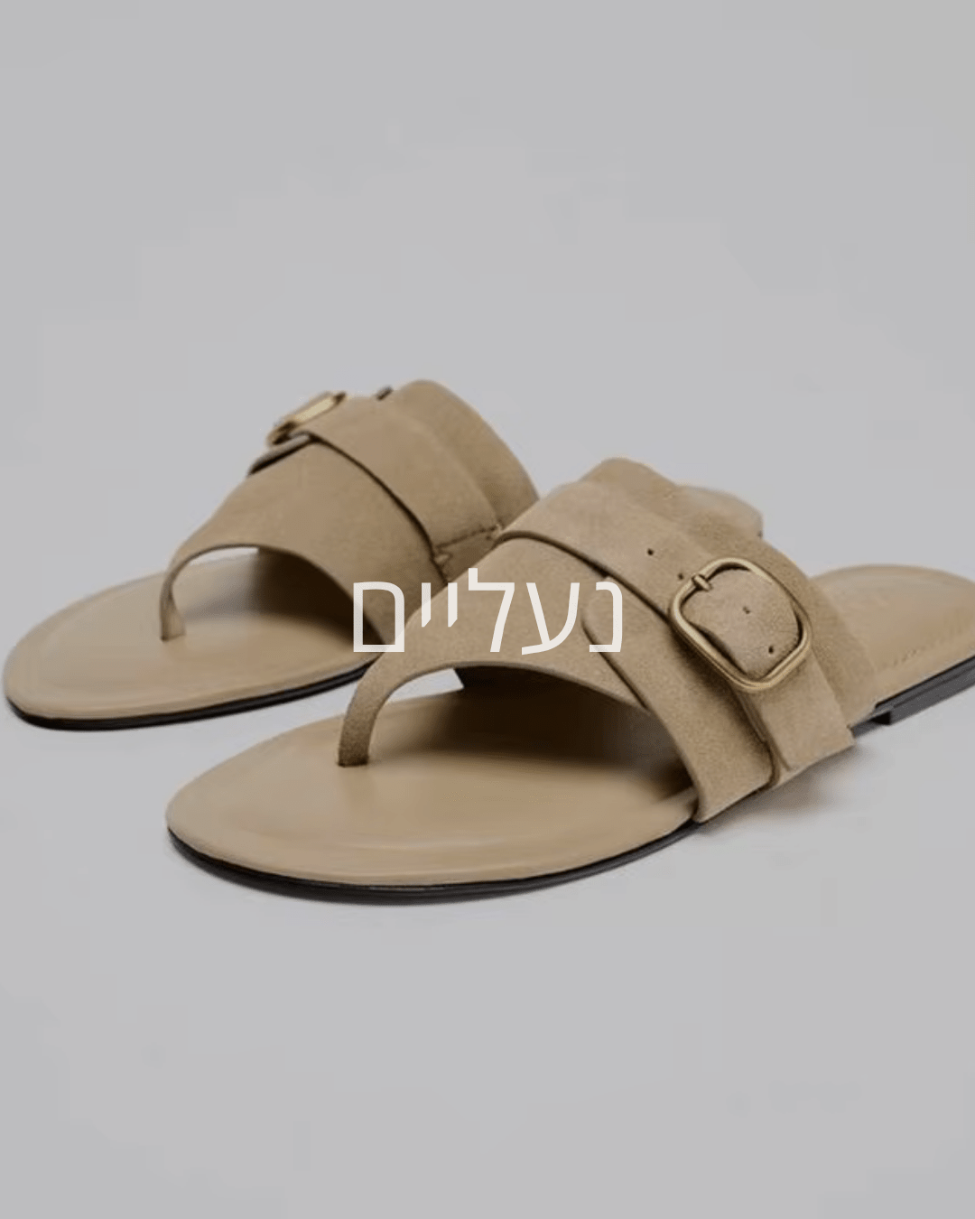 הנעלה - 𝘽𝙖𝙨𝙞𝙘 𝙇𝙞𝙣𝙚