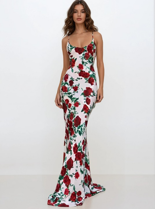 Vera maxi dress
