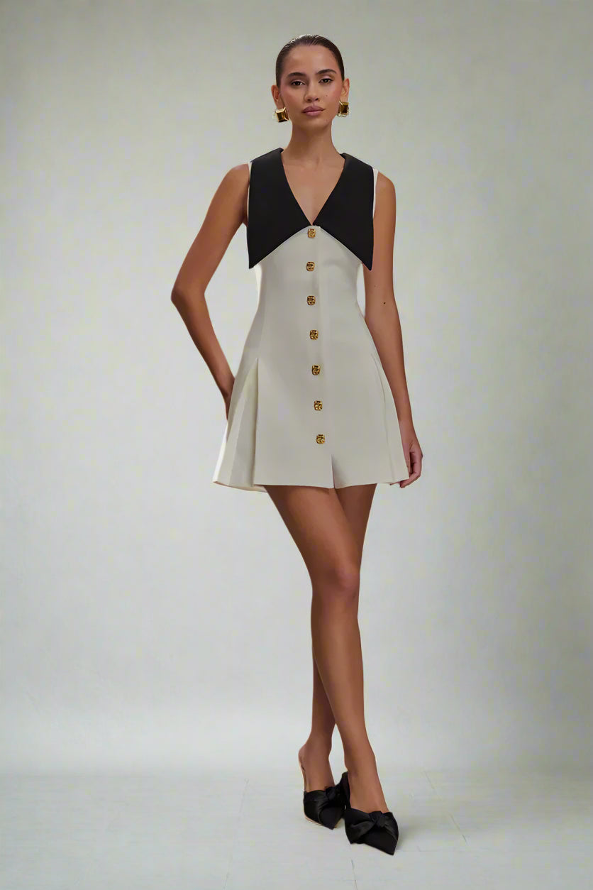 Aviv mini dress