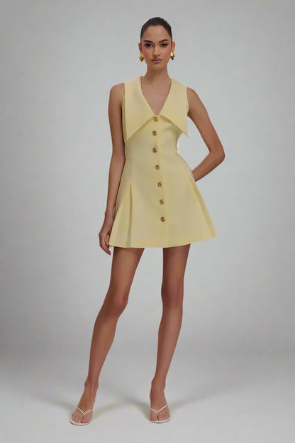 Aviv mini dress