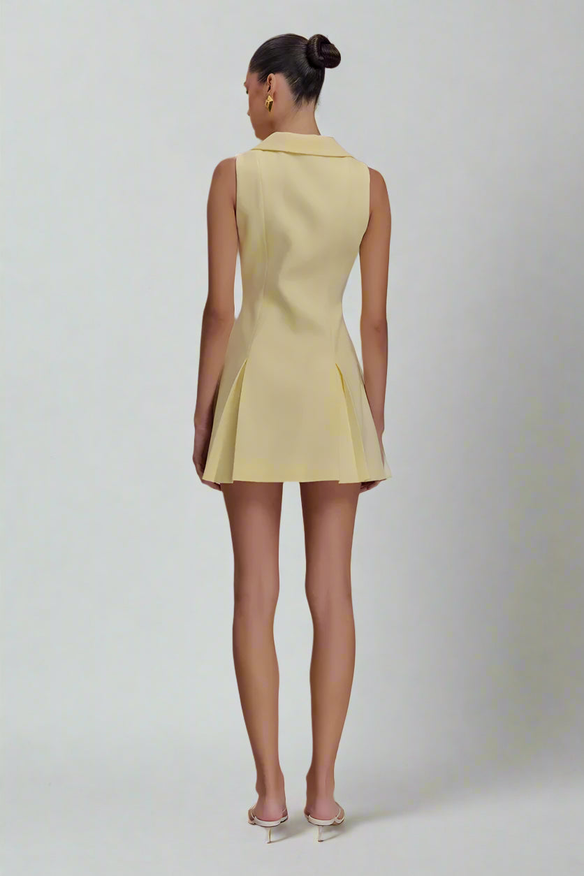 Aviv mini dress