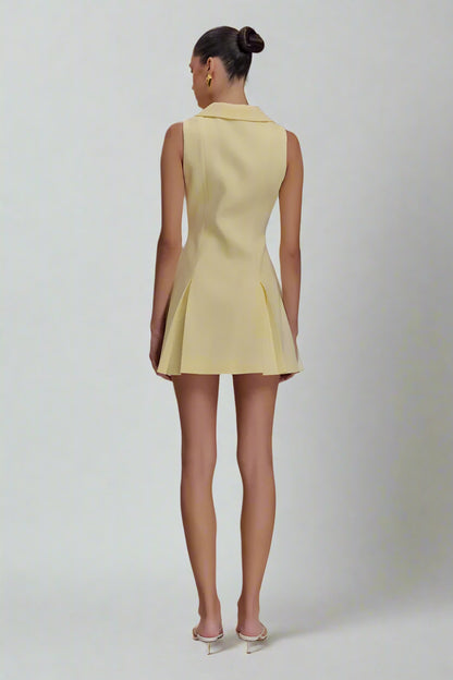 Aviv mini dress